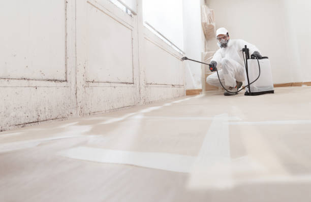 24/7 Emergency Mold Removal experts in Dry Run, PA