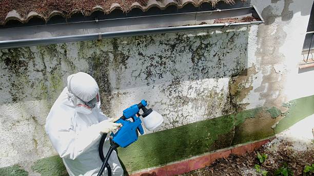 Top rated local Mold Removal specialists in Dry Run, PA